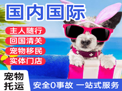三亚航空快递国际宠物托运 【国